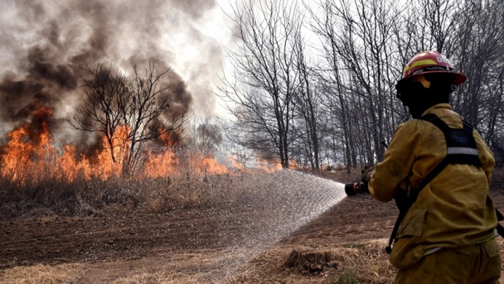 Reportan incendios forestales activos en nueve provincias
