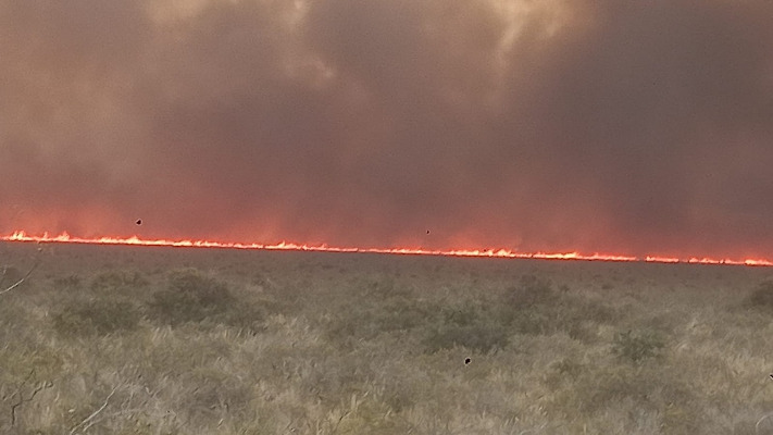 Voraz incendio avanza sobre la Ruta Nacional 3 al norte de Madryn