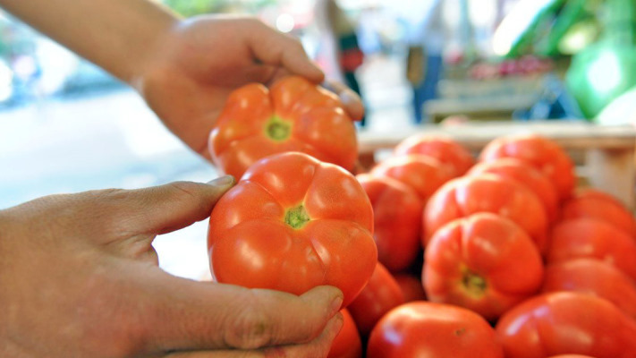 El precio del tomate se disparó y se paga hasta $500 el kilo