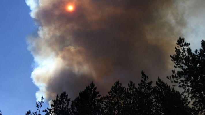 El incendio en la zona del cerro Currumahuida «fue por un cable de luz que cayó y tocó un árbol»