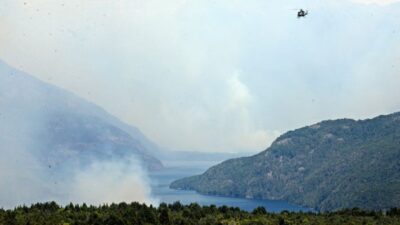 Ejército Argentino, incendios forestales