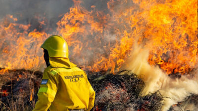 Ecología, incendio forestal, Servicio Nacional de Manejo del Fuego