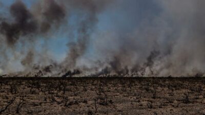 Etiquetas: incendio, Puerto Lobos