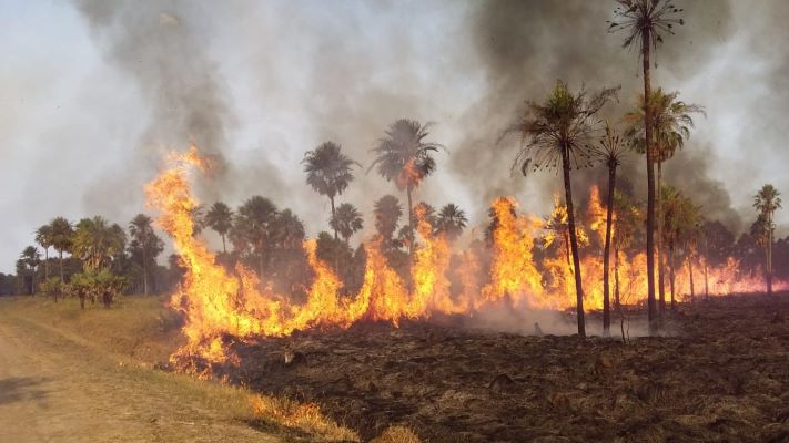 Para el presidente de Parques Nacionales, los incendios forestales se deben al cambio climático
