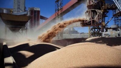 agro, economia, granos