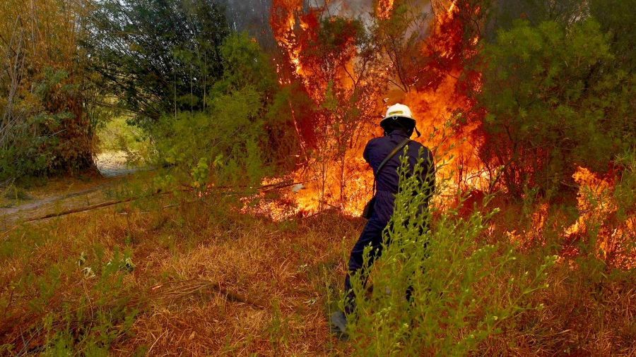Aseguran que en Corrientes están controlados en un 80% los incendios forestales