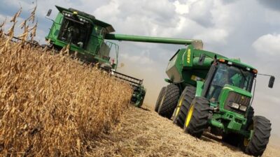 Volvió a dispararse el precio de la soja y llegó a 604 dólares