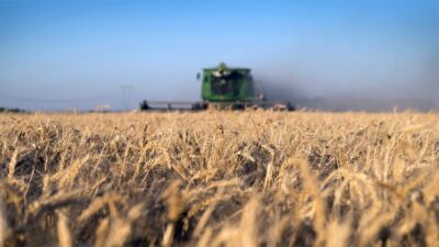 La ONU teme una crisis alimentaria en muchos países por la guerra en Ucrania