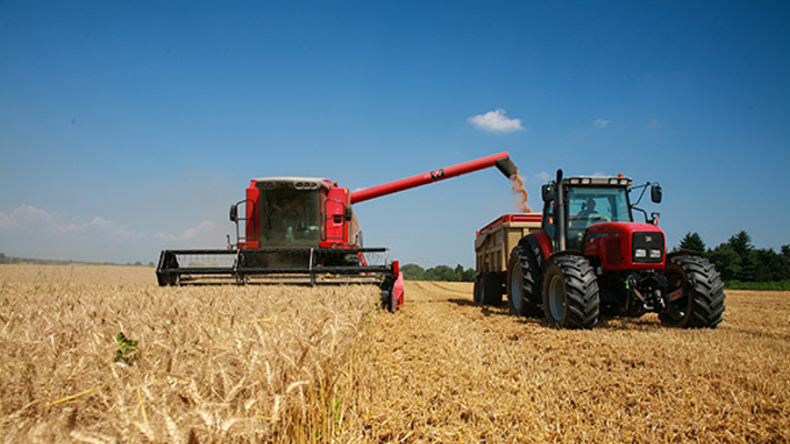 El Gobierno confirmó que no estudia subir retenciones al maíz, soja y trigo