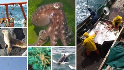 CIENCIA, jornadas de ciencias del mar, oceanografia