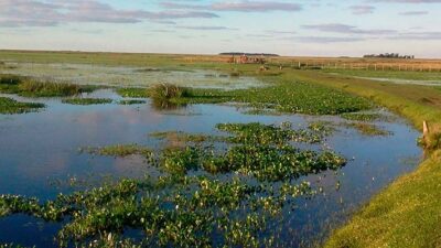 CIENCIA, contaminación, Ecología, humedales
