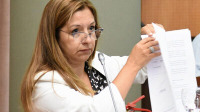 abuso, delitos sexuales, jxc, legislatura chubut, María Andrea Aguilera