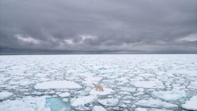 artico, cambio climatico, nasa