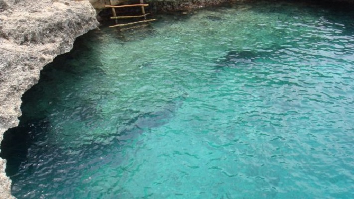 Turista italiano murió tras haber sido atacado por un tiburón en el Caribe