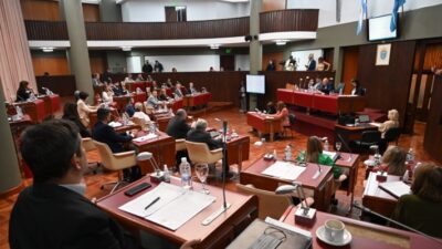 candidatos, chubut, delitos sexuales, Ficha limpia, Legislatura, partidos políticos