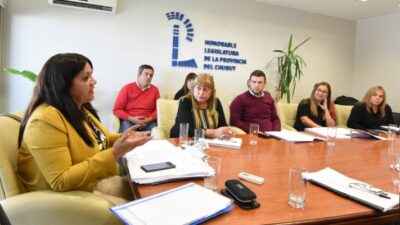 Perata expuso ante Diputados y dijo que hay sólo 8 escuelas sin clases en Chubut