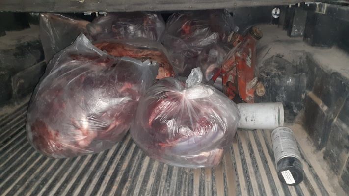 Decomisaron 200 kilos de carne de guanaco