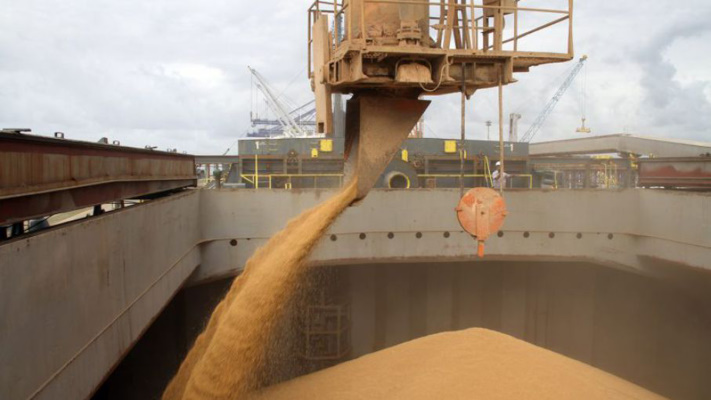 El Gobierno cierra las exportaciones de aceite y harina de soja