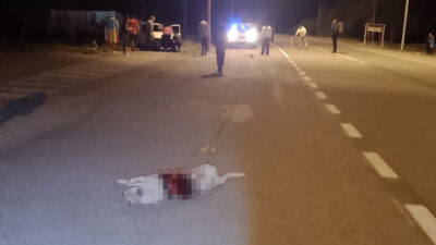 Esquel: intentó esquivar a un perro, lo aplastó con el auto y chocó contra un poste