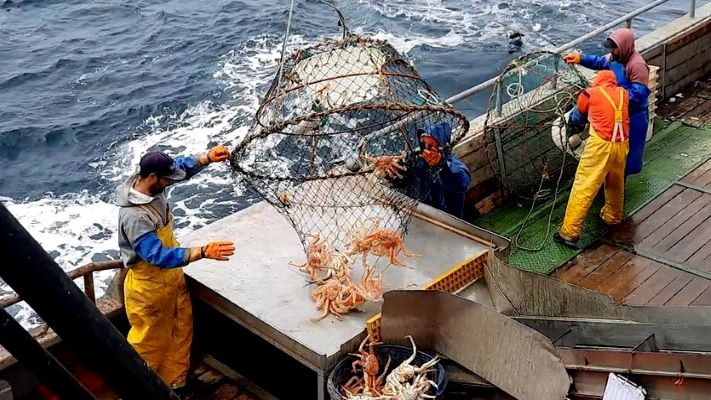 La pesquería de centolla en el Golfo San Jorge recibió certificación internacional