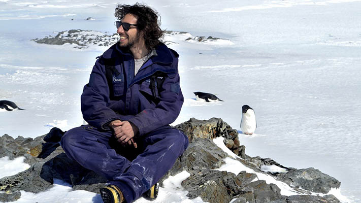 Científicos argentinos estudian la incidencia de parásitos en los pingüinos de la Antártida