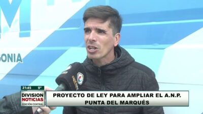 Rada Tilly apunta al buceo con lobos y avistaje de cetáceos