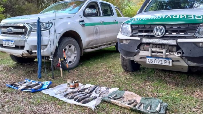 Secuestran 36 truchas, cañas de pescar y carnada en el Parque Los Alerces