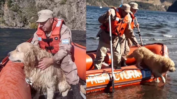 Prefectura rescató a un perro que cayó de un acantilado