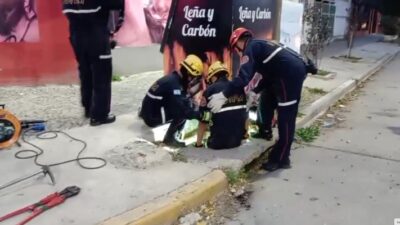 Etiquetas: bomberos voluntarios, Perro, pozo de desagüe, puerto madryn, rescate