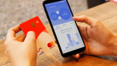 afip, argentina, Banco Central, billeteras virtuales, Boletín Oficial, economia, movimientos