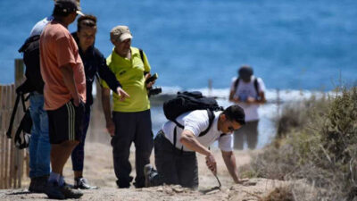 Peritos afirman que hubo impacto ambiental y maltrato de pingüinos en Punta Tombo