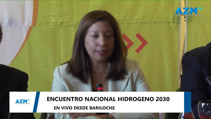 Carreras destacó el potencial de Río Negro «en el mercado internacional del hidrógeno»