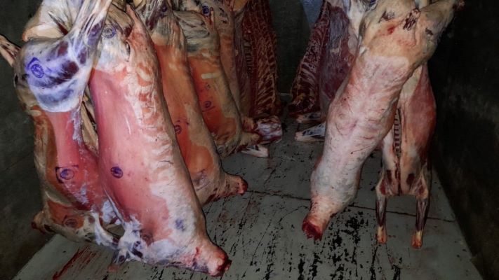 Decomisan 1200 kilos de carne que trasladaban a Madryn sin sello habilitante