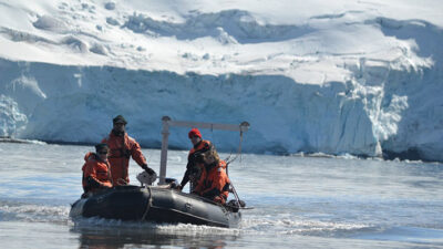 ¿Cómo afecta a las algas que se derritan los glaciares?