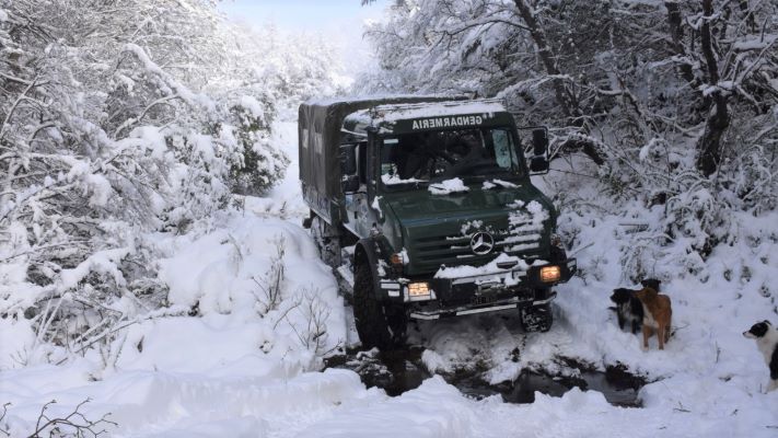 Gendarmería entrega leña a una familia debido a las intensas nevadas