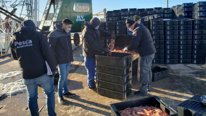 El 5 de junio comenzará la prospección de langostino