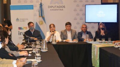 Etiquetas: Cámara de Diputados, INAI