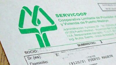 Woodley aclaró que la quita de subsidios a la energía tendría leve impacto en Madryn
