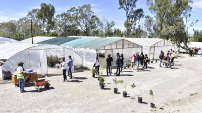 El Vivero Municipal abrirá sus puertas al público