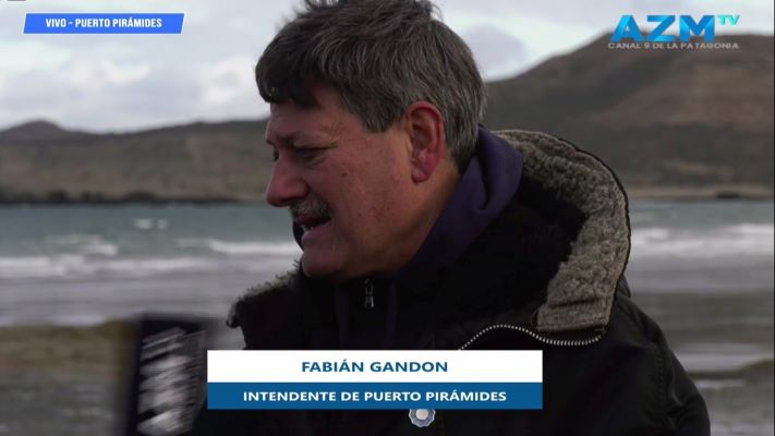 Fabián Gandón: «Puerto Pirámides es el mejor lugar para hacer avistajes en el mundo»