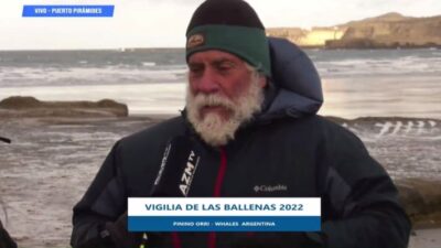 Pinino Orri: «Todos los avistajes de ballenas son distintos»