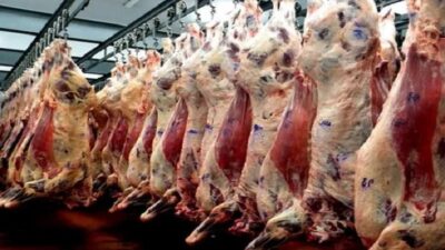 barrera sanitaria, carne con hueso, chubut, Patagonia