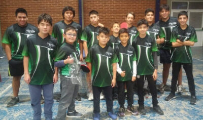provincial, Tenis de Mesa