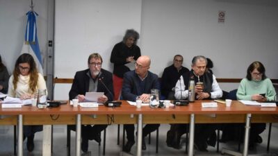 diputados, emergencia, interior del país, transporte