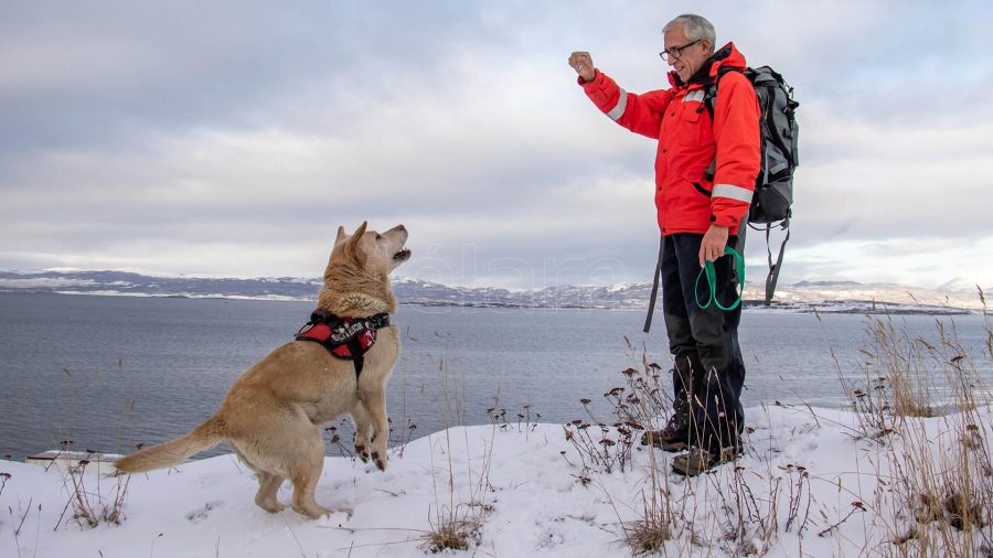 Un perro salvó a un esquiador enterrado bajo un metro y medio de nieve en Ushuaia