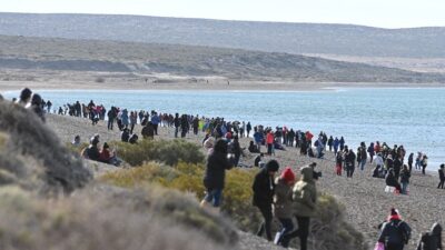 puerto madryn, turismo chubut, vacaciones de invierno