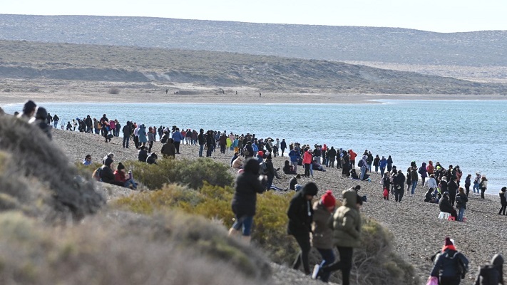 Post pandemia: Madryn registra un 25% más de ocupación que en 2021