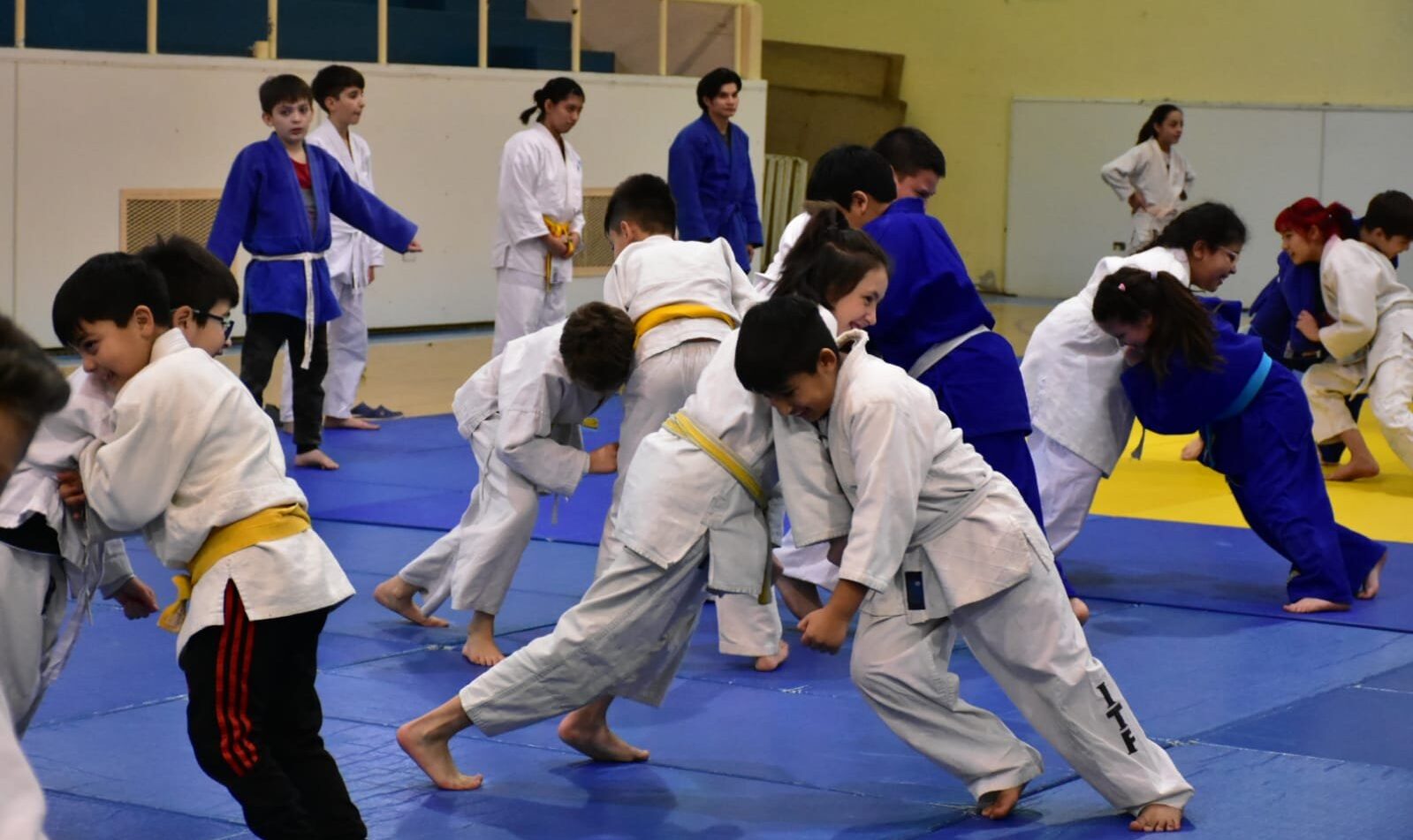 Exitoso primer Campus Infanto Provincial de Judo