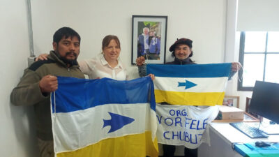 Etiquetas: consejo de participación indígena, INAI, rewe