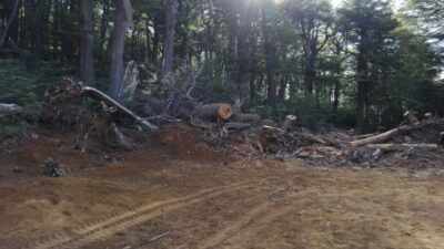 Ambiente, esquel, Secretaría de Bosques